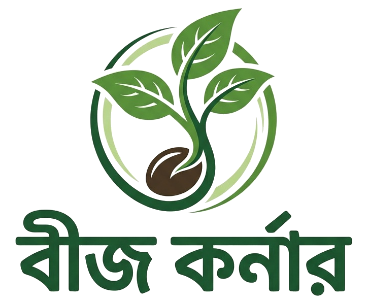 বীজ কর্নার
